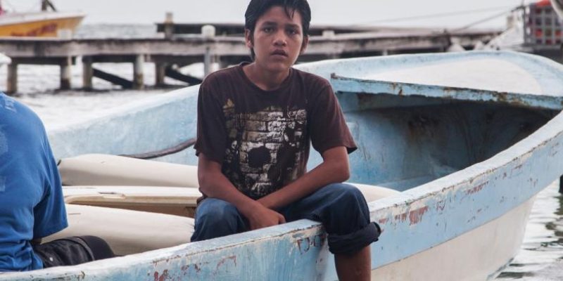 stoftw-campaign_hero